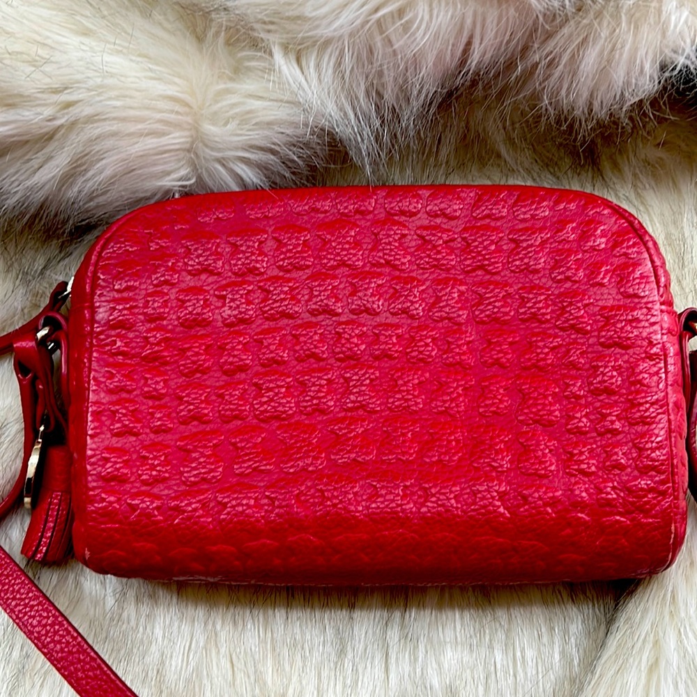 Tous purse